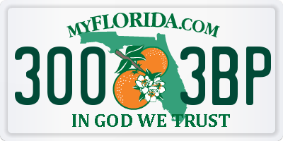 FL license plate 3003BP