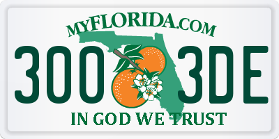FL license plate 3003DE