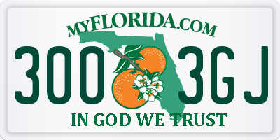 FL license plate 3003GJ