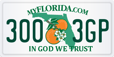FL license plate 3003GP