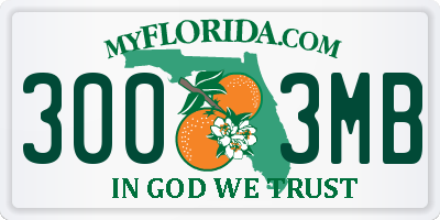 FL license plate 3003MB