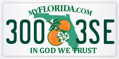 FL license plate 3003SE