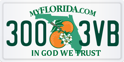 FL license plate 3003VB