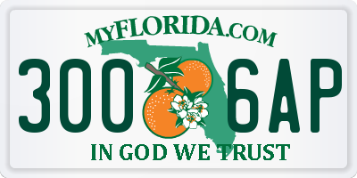 FL license plate 3006AP