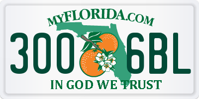 FL license plate 3006BL