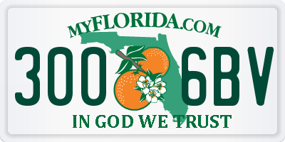 FL license plate 3006BV