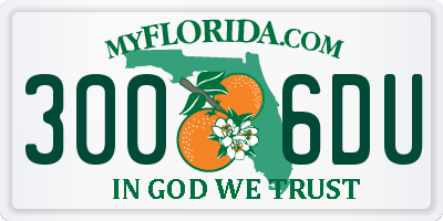 FL license plate 3006DU