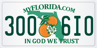 FL license plate 3006IO