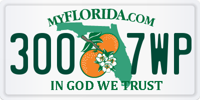 FL license plate 3007WP