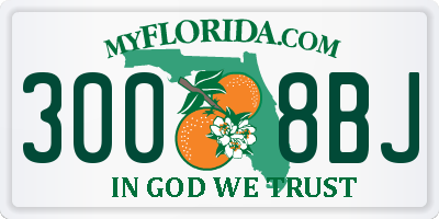 FL license plate 3008BJ