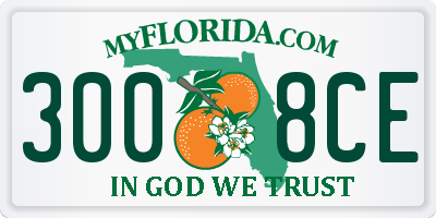 FL license plate 3008CE
