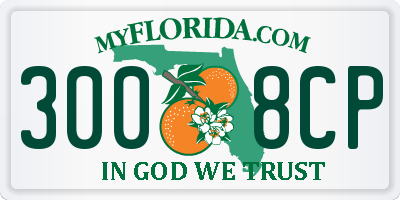 FL license plate 3008CP