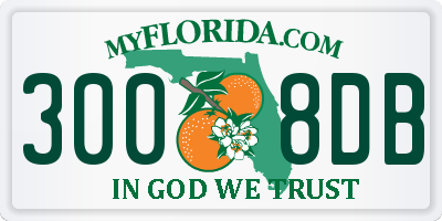 FL license plate 3008DB