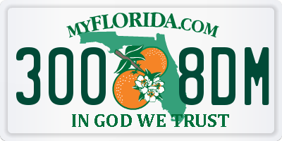 FL license plate 3008DM
