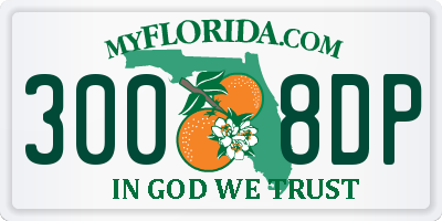 FL license plate 3008DP