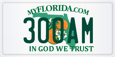 FL license plate 300AM