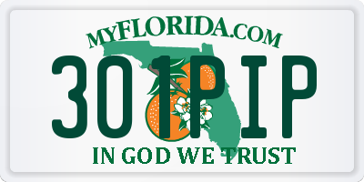 FL license plate 301PIP