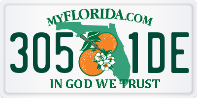 FL license plate 3051DE