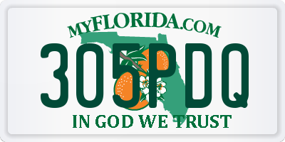 FL license plate 305PDQ