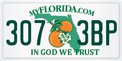 FL license plate 3073BP