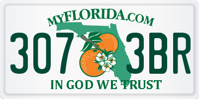 FL license plate 3073BR