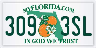 FL license plate 3093SL