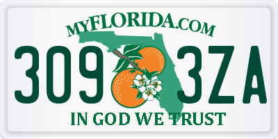 FL license plate 3093ZA