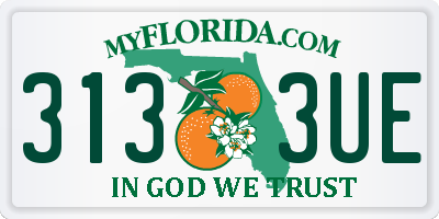 FL license plate 3133UE