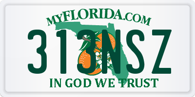 FL license plate 313NSZ