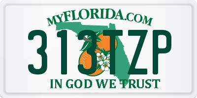 FL license plate 313TZP