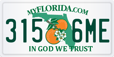 FL license plate 3156ME