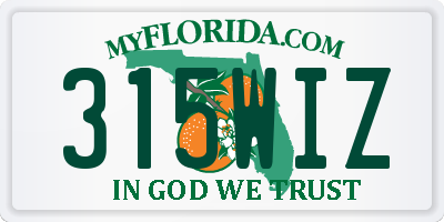 FL license plate 315WIZ