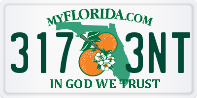 FL license plate 3173NT