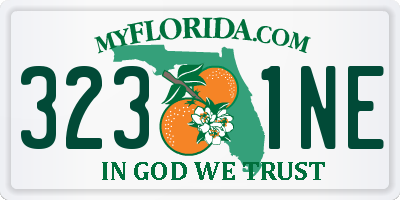 FL license plate 3231NE