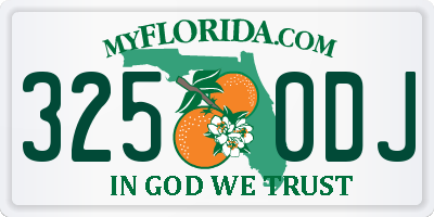 FL license plate 3250DJ