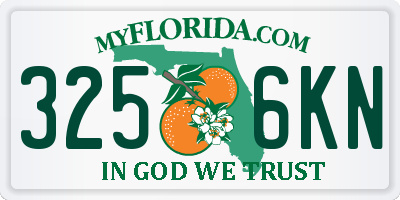 FL license plate 3256KN