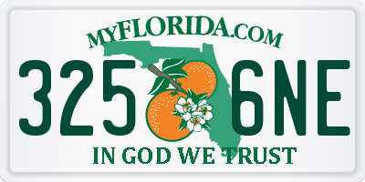 FL license plate 3256NE