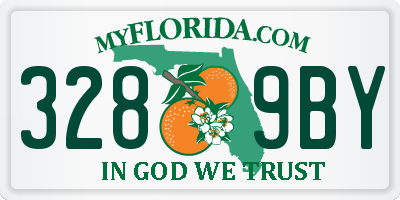 FL license plate 3289BY