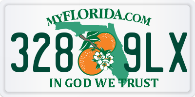 FL license plate 3289LX
