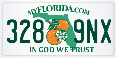 FL license plate 3289NX