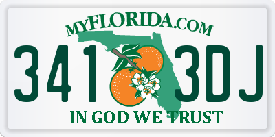 FL license plate 3413DJ