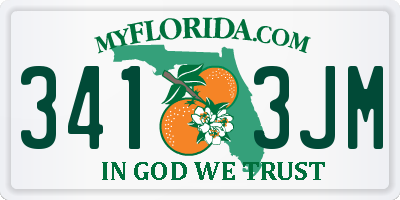 FL license plate 3413JM