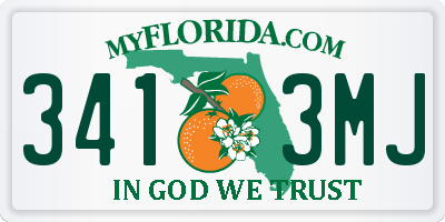 FL license plate 3413MJ