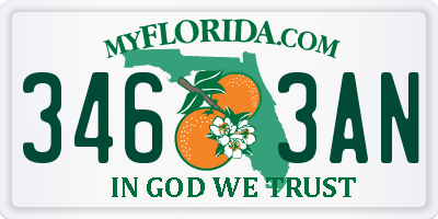 FL license plate 3463AN