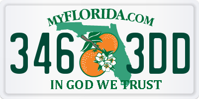 FL license plate 3463DD