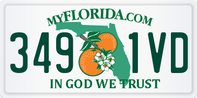 FL license plate 3491VD