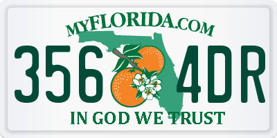 FL license plate 3564DR