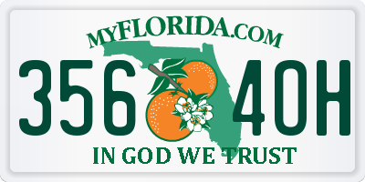 FL license plate 3564OH