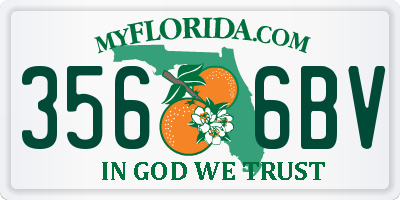 FL license plate 3566BV