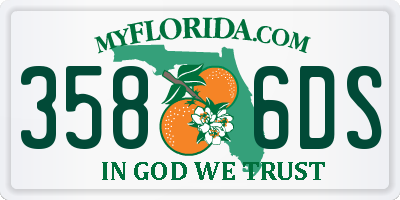 FL license plate 3586DS